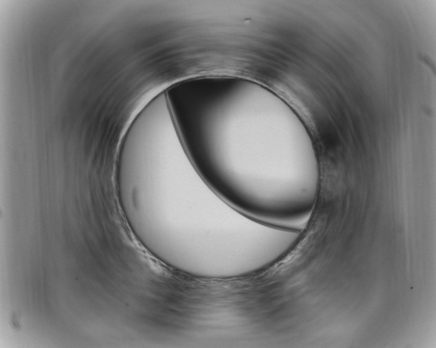 X0000097980956200803241039