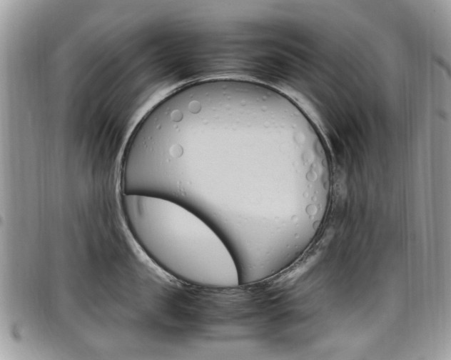 X0000097980957200803241039