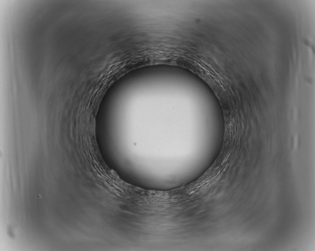 X0000097980961200803241038
