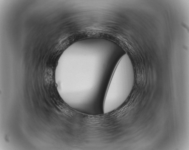X0000097980964200803241038
