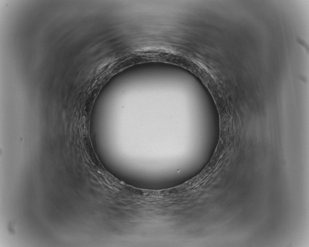 X0000097980965200803241038