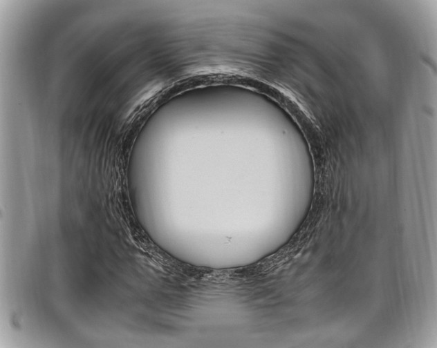 X0000097980967200803241038