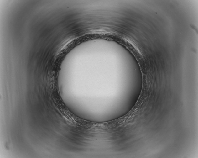 X0000097980968200803241038