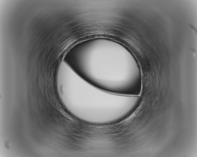 X0000097980969200803241038