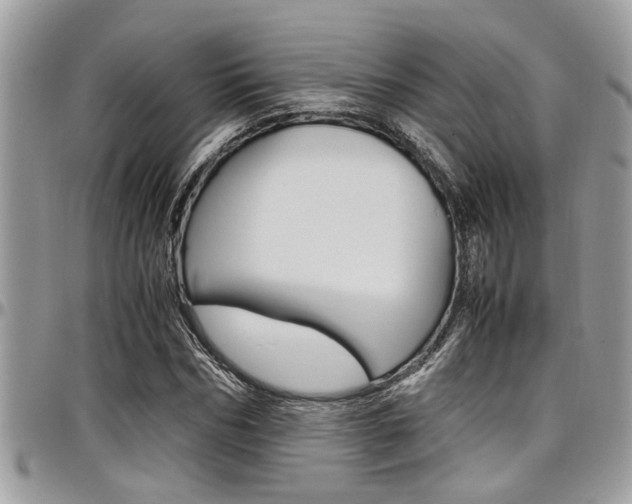 X0000097980970200803241038