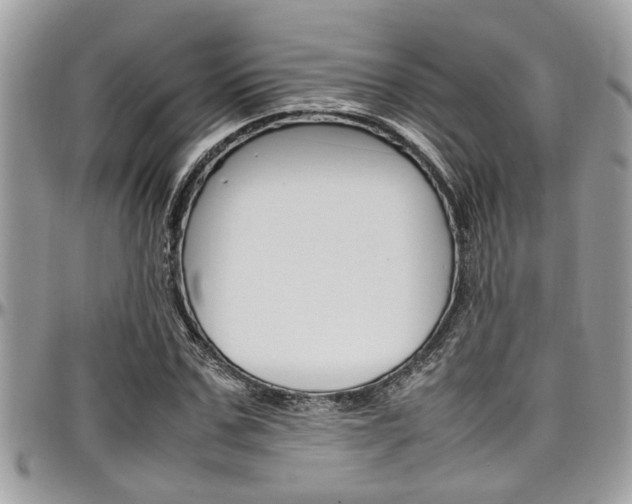 X0000097980971200803241038