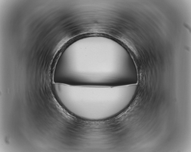 X0000097980972200803241038