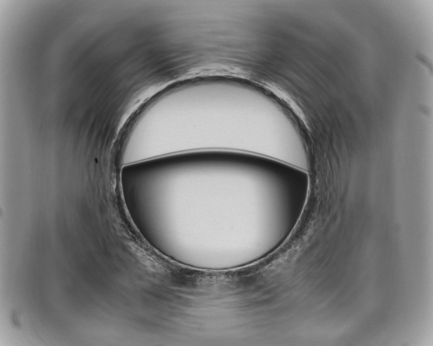 X0000097980973200803241038