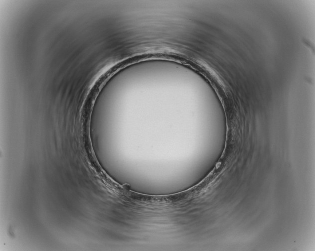 X0000097980975200803241038