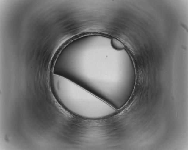 X0000097980976200803241038