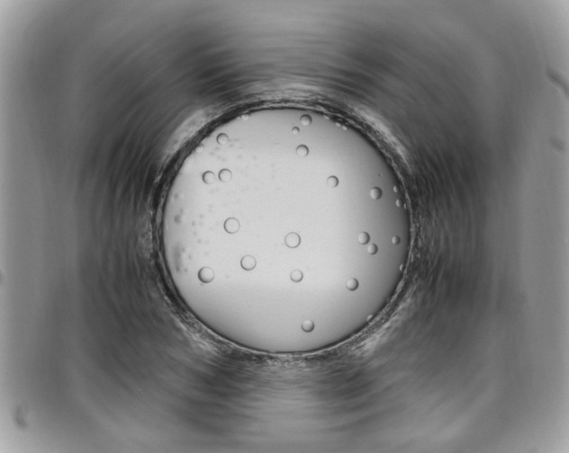 X0000097980978200803241038