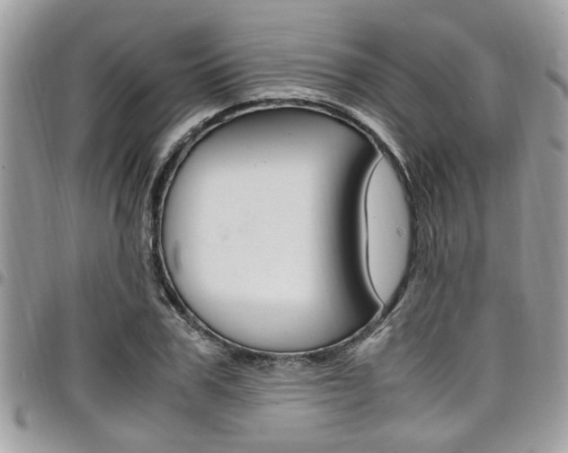 X0000097980979200803241038