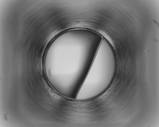 X0000097980980200803241038