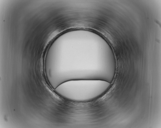 X0000097980982200803241038