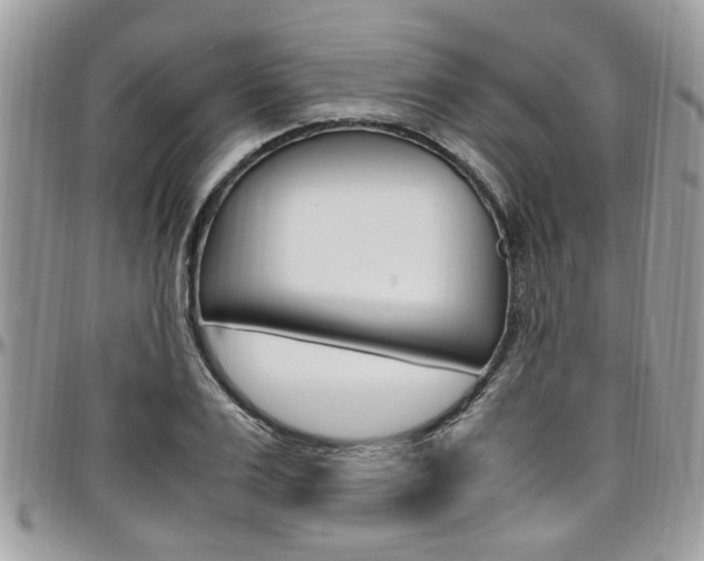 X0000097980983200803241038