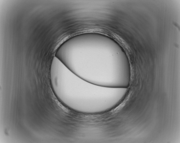 X0000097980985200803241038