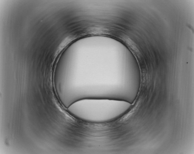 X0000097980986200803241038