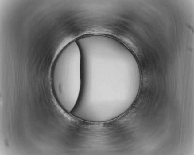 X0000097980990200803241038