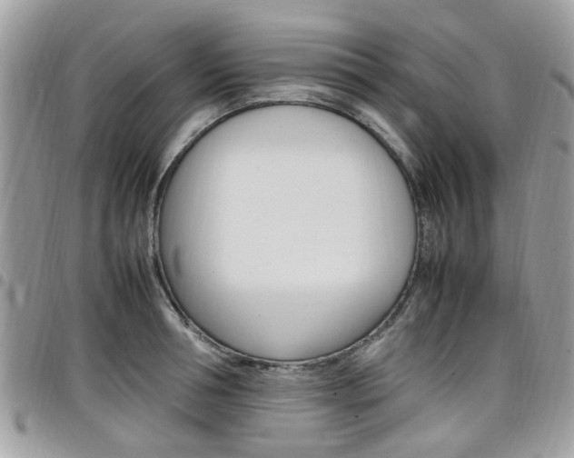 X0000097980994200803241038
