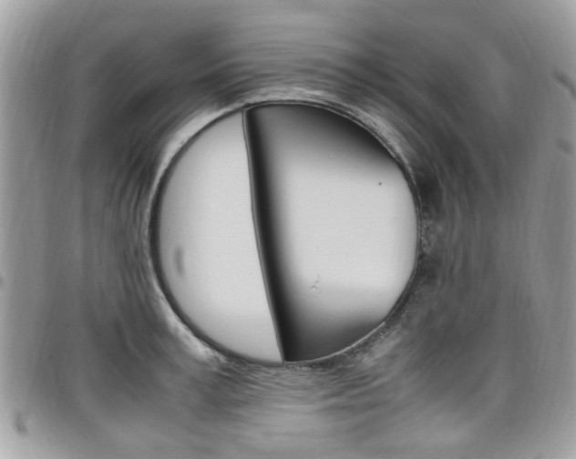 X0000097980995200803241038