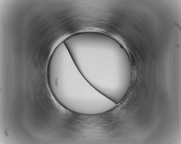 X0000097981003200803241038