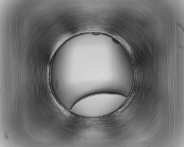 X0000097981006200803241038