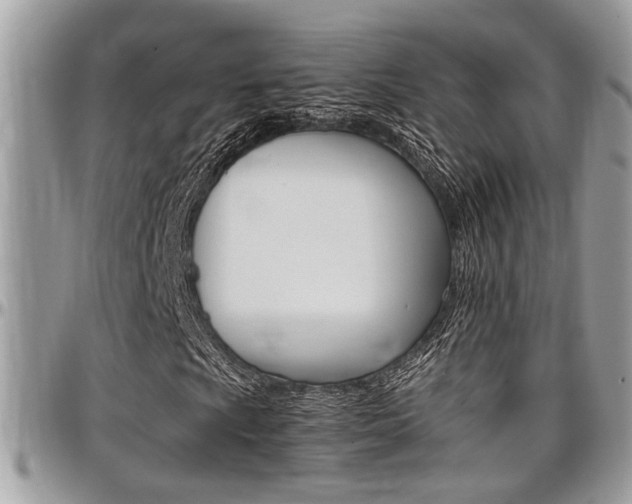 X0000097981009200803241037