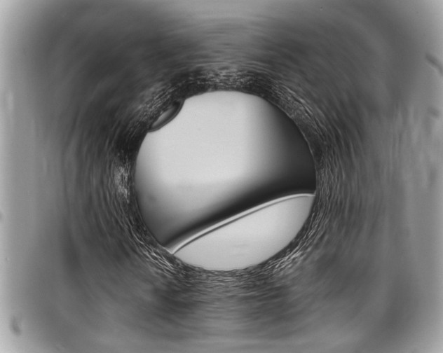 X0000097981010200803241037