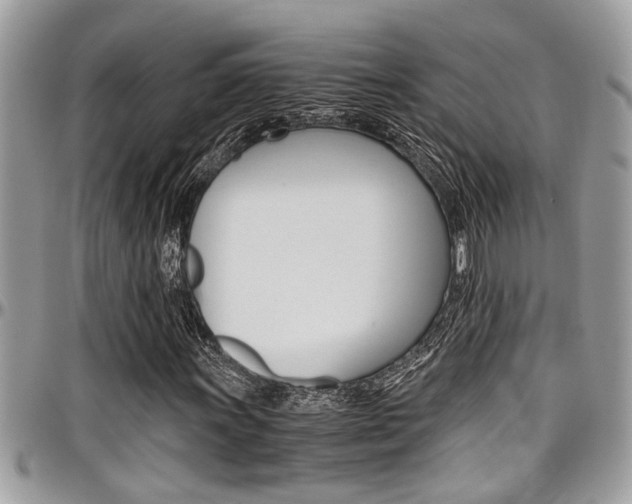 X0000097981011200803241037