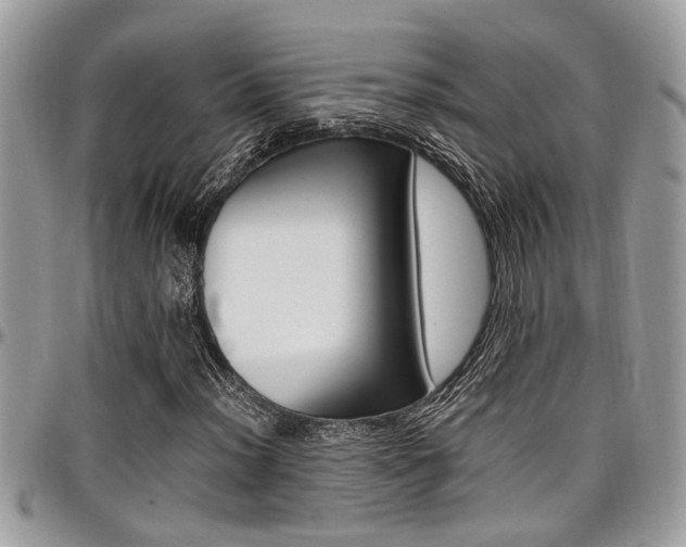 X0000097981012200803241037