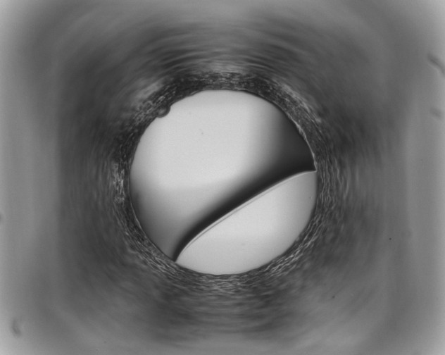 X0000097981013200803241037