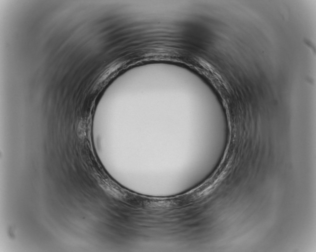 X0000097981017200803241037