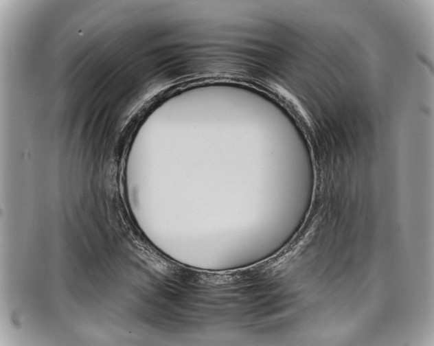 X0000097981019200803241037
