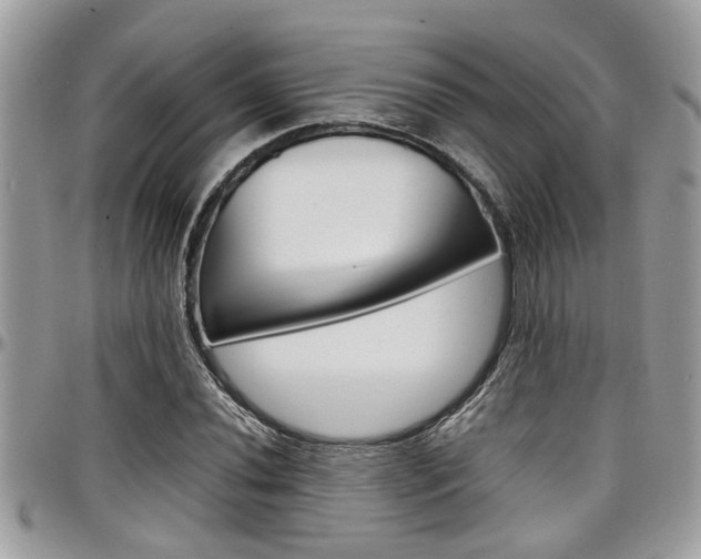 X0000097981020200803241037