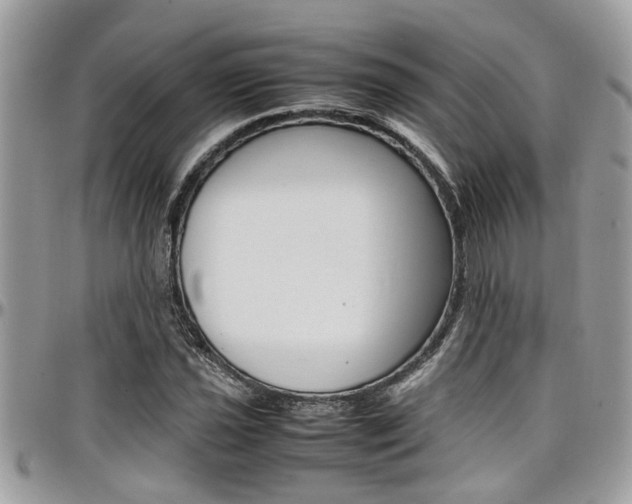 X0000097981021200803241037