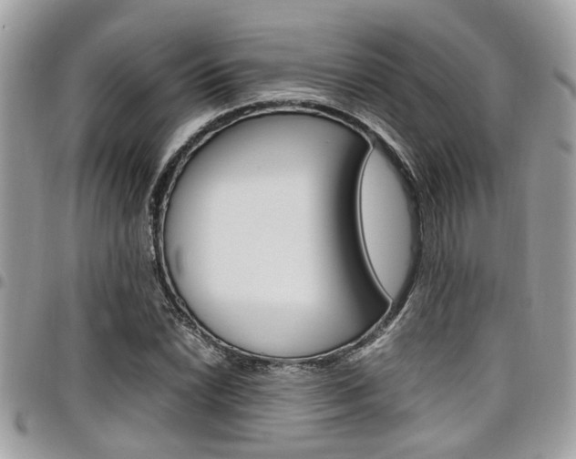 X0000097981022200803241037