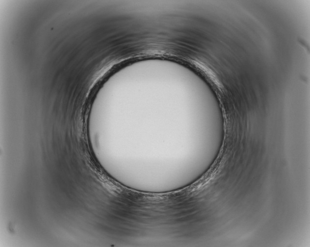X0000097981023200803241037