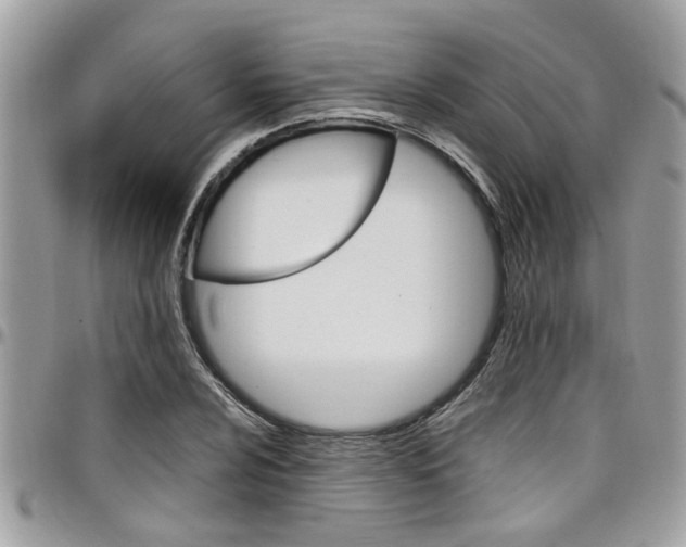 X0000097981024200803241037