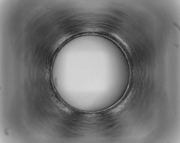 X0000097981025200803241037