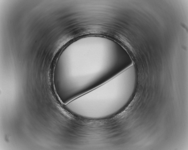 X0000097981026200803241037