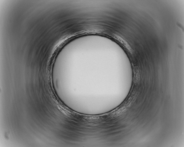 X0000097981027200803241037