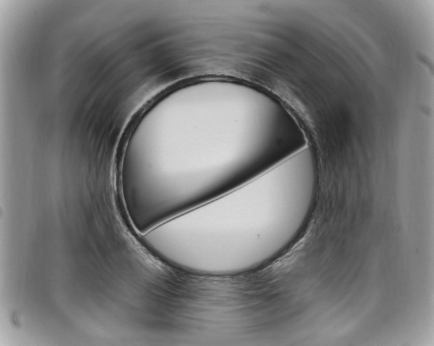 X0000097981028200803241037