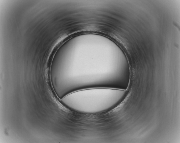 X0000097981029200803241037