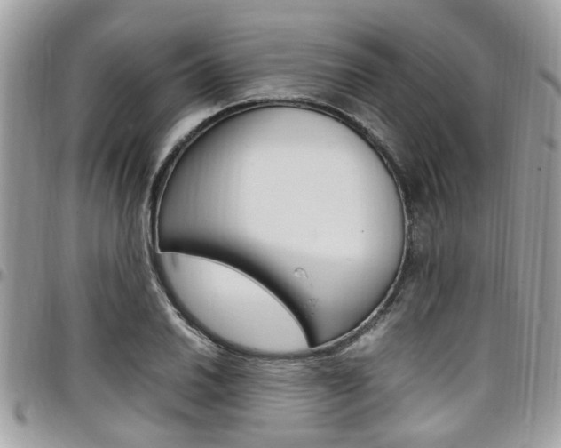X0000097981030200803241037