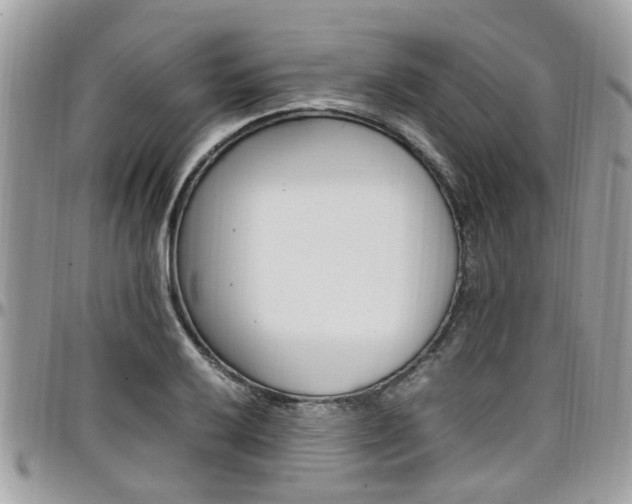 X0000097981032200803241037