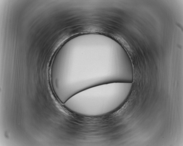 X0000097981039200803241037