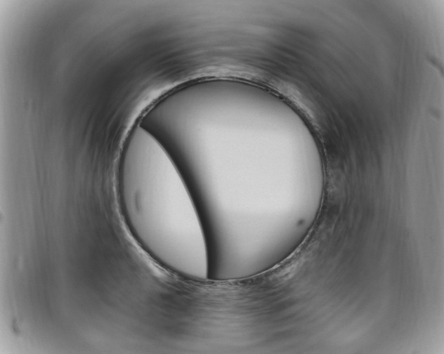 X0000097981040200803241037
