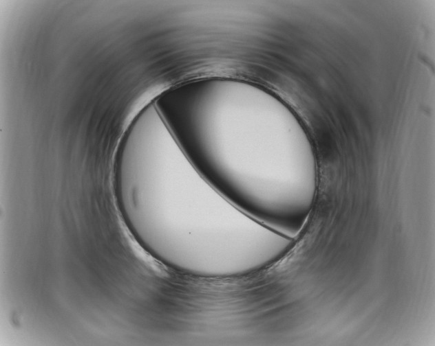 X0000097981042200803241037