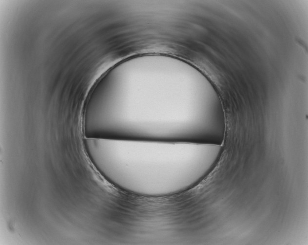 X0000097981044200803241037