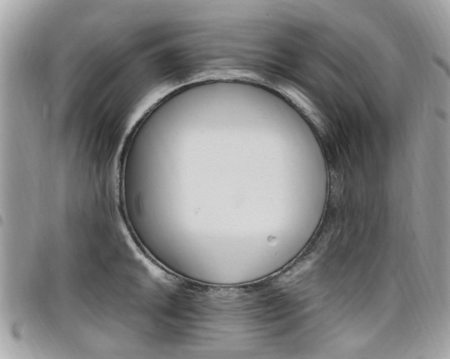 X0000097981046200803241037